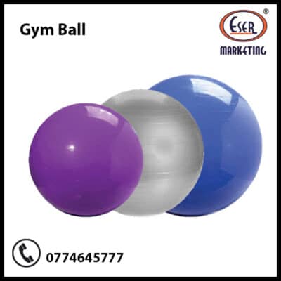 Gym Ball