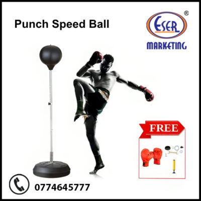 Punch Speed Ball (1)